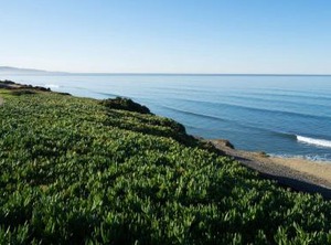 Doubletree | Carmel Valley