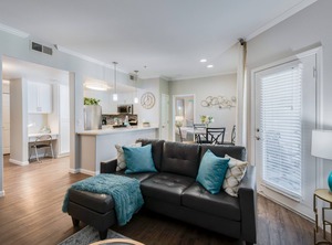 Ascent Roseville | Roseville