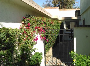 Coach Wkn Premium Villa Rancho Mirage | Rancho Mirage