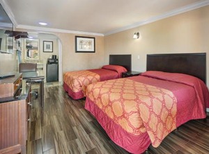 Sky Palm Motel Orange | Orange