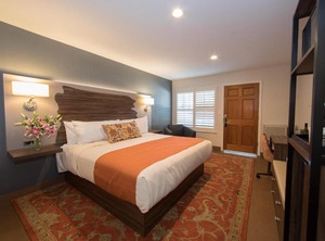 The Vine Inn Davis | Downtown