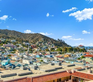 Bahia Vista Avalon 
