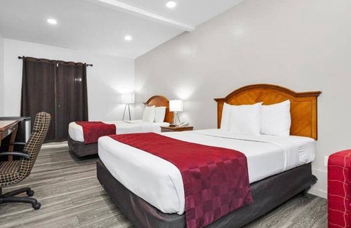 Outer Sunset Hotel | 30 m² Hotel ∙ 127 guests