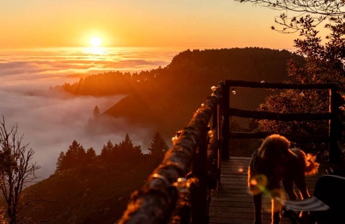 Redwood City Other | Camping ∙ 1 bedroom ∙ 4 guests