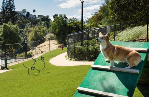Los Angeles Apartment | 🌟 Luxury 1-Bedroom Apartment Close to Universal Studios 🎬n