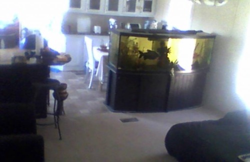 Beatty Junction Resort | Private room ∙ 2 guests