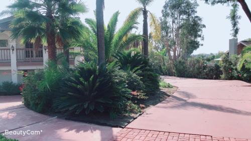 Fairbanks Ranch House | Rancho Garden Home