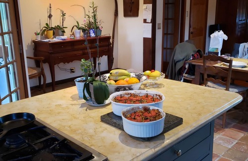 San Bruno House | San Francisco Suburb French farmhouse - great location