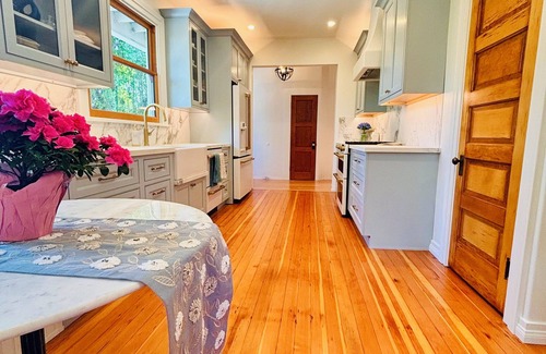 Oak Park House | Stunning Historic Home/Bikes/Walk Downtown