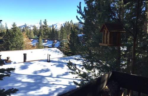 Mammoth Lakes House | Walk To The Slopes!