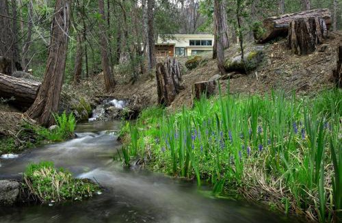 North Wawona Ski Chalet | 11R Spring Meadow Retreat