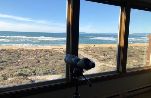 Castroville House | 28 Sec Walk to Beach: Steam shower, Lululemon Mirror, Power Outage-Free Living