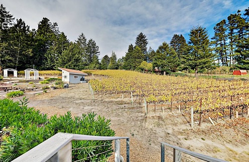 Freestone Cottage | 281 m² Cabin ∙ 2 bedrooms ∙ 4 guests