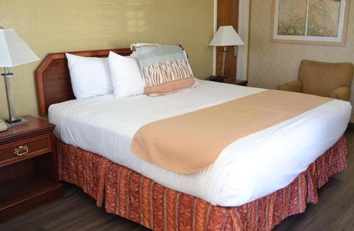 Newhall Hotel | 33 m² Motel ∙ 127 guests
