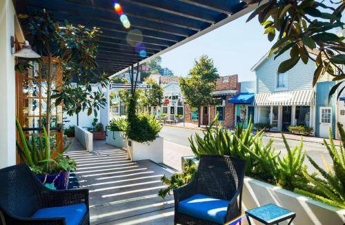 Belvedere Tiburon Hotel | 35 m² Hotel ∙ 4 guests