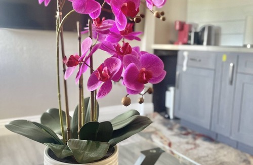 Hermosa Village Apartment | 5 minutes from Disneyland