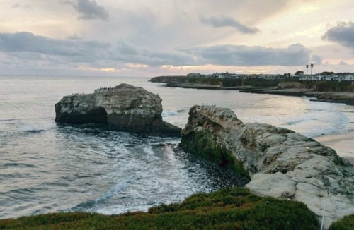 Eastside Santa Cruz House | A Slice of Paradise , Santa Cruz. Cozy spot to call home base! Permit #231358