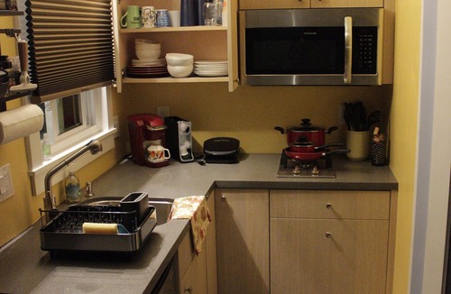 Dimond Apartment | Backyard Haven -Studio w/kitchenette