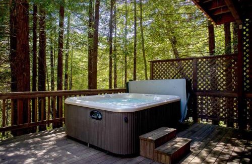 Cazadero House | Baumhaus
