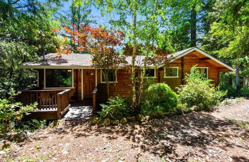 Cazadero House | Baumhaus