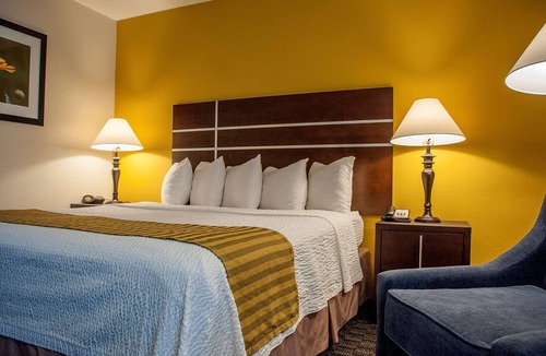 Raisin Hotel | Best Western Village Inn