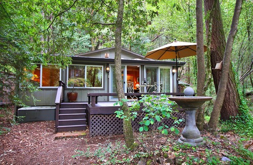 Guerneville Cabin | Bird Watch From Private Spa, Teahouse, Wine Country, Dog Friendly!