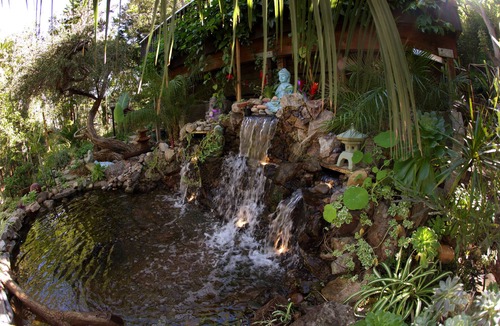 Hillcrest House | Buddha's Zen Retreat-a Lush Tropical Estate - Near Zoo, Beaches, Downtown, Parks