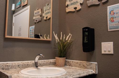 North Pacific Beach Hostel | California Dreams Hostel - Pacific Beach