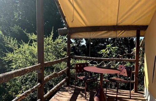 Redwood City Other | Camping ∙ 1 bedroom ∙ 3 guests
