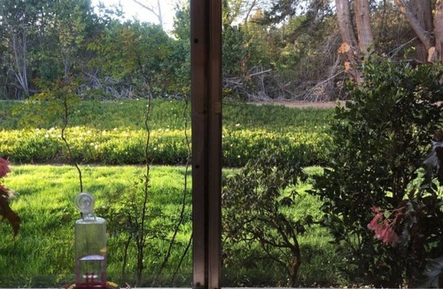 Carmel Condo | Carmel Get-a-way - Monthly rental: August, 2023 forward