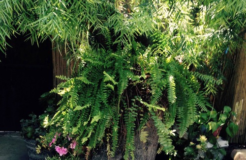 Mission Canyon Apartment | Charming 1-bedroom apartment with WiF in lovely Santa Barbara.