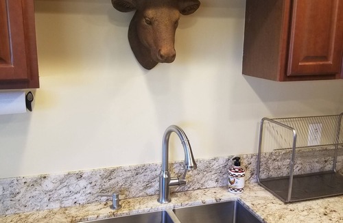 Napa House | Charming Cottage/Guest House 2 miles from Downtown Napa