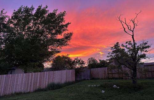 Cibolo House | COMFORTABLE home and large private yard in welcoming Schertz right off 35