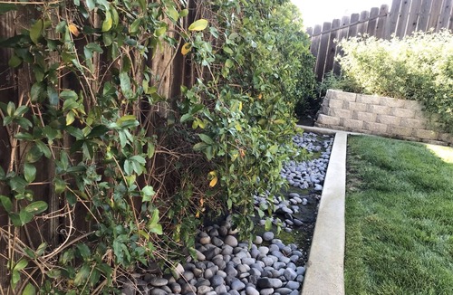 Fairfield Cottage | Cottage by the Vines: Near Napa Valley, Vineyards, Outlet Malls and Six Flags