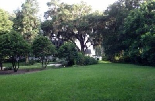 Doctors Inlet House | Cottage Under Majestic Oaks Near The Banks Of The St Johns River-Pets Welcome
