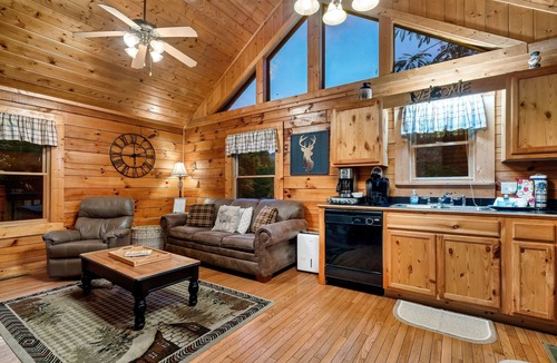 Pigeon Forge Cabin | Couples Cabin - Private Hot Tub - 1 Mile to Parkway