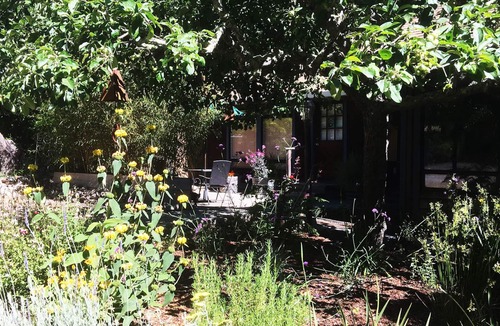 Freestone Apartment | Cozy and Charming Apple Blossom Retreat—Relax with Nature