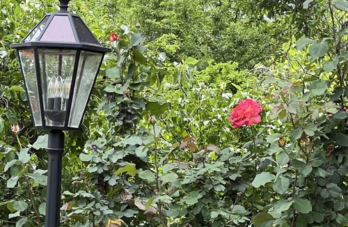 Ione Cottage | Cozy Vintage Rustic Rose Cottage w 3 private Bedroom’s