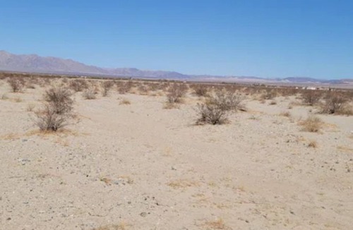Twentynine Palms RV Rental | Delightful Camp Sight W/beautiful Stars View