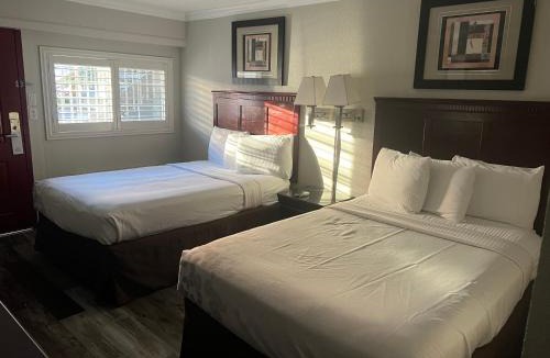 Downtown Hotel | Dream Inn