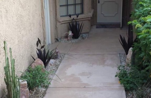 Palm Desert Condo | Fall Discounts and New Prime Season Date Available!