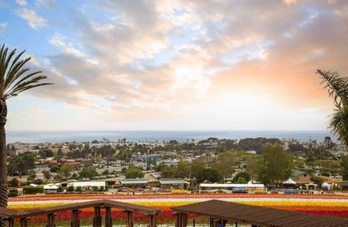 Carlsbad Condo | Grand Pacific Palisades Resort - 2 Bedroom