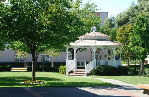 Oakland Hotel | Hilton Oakland Airport