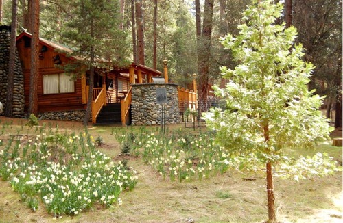 North Wawona House | House ∙ 1 bedroom ∙ 6 guests