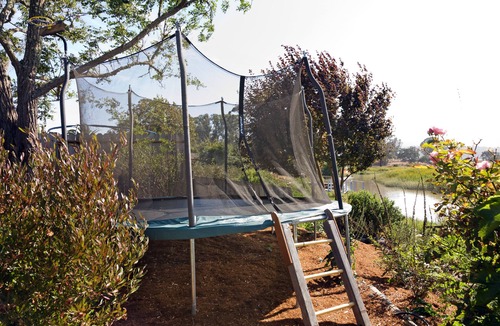 Novato House | Incredible Waterfront Property, Pool, Boat, Gardens, and More!