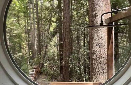 Little River Cabin | Jimmy’s Hike In cabinn A tranquil retreat, family, and romantic getaway