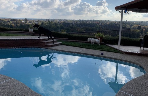Redding House | Kingsview Luxury Retreat above the city 1 King Bed 2 Queen beds