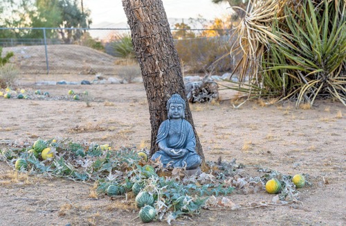 Joshua Tree House | La Mirada House, A Quiet Setting With Expansive Views In All Directions