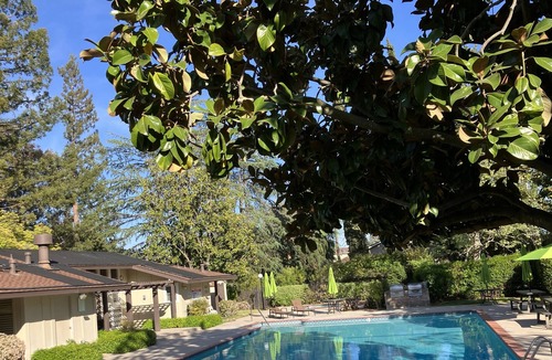 San Tomas Condo | Large master room with connected bathroom