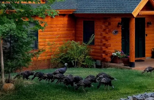 Forest Ranch Cottage | Lavender Log Home Cottage